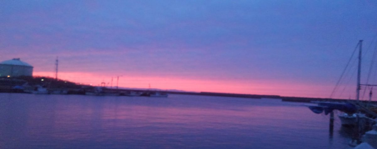 Anglers Guide Ripple ライトゲームからクロマグロまで新潟下越エリアのオフショアゲームをサポート