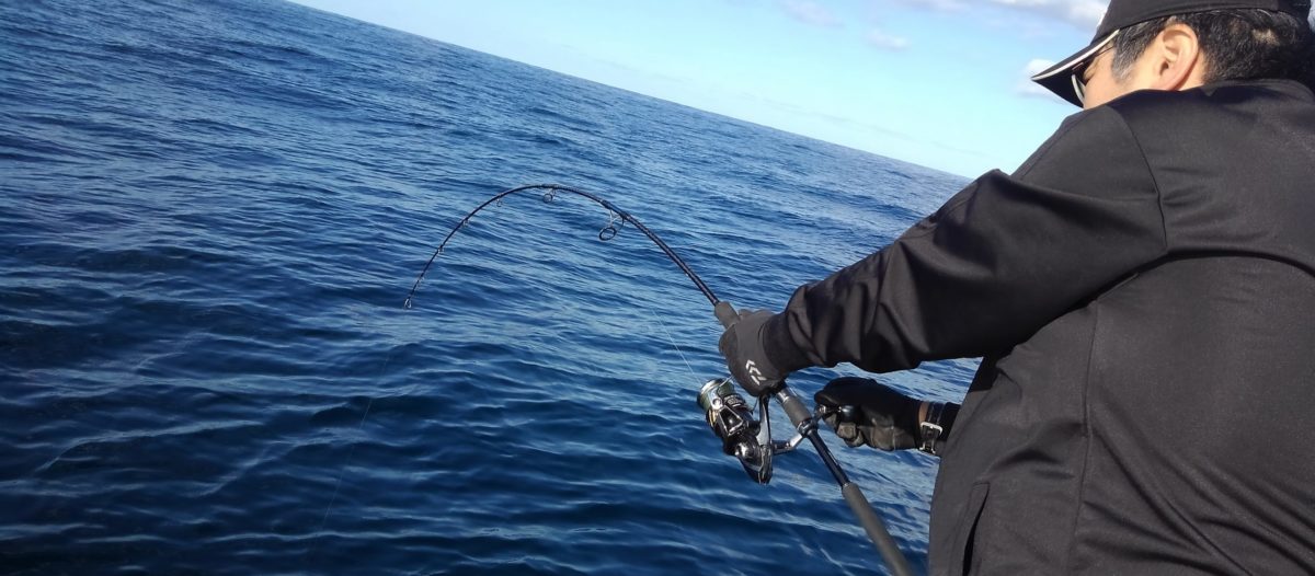 ブログ Anglers Guide Ripple ブログ Anglers Guide Ripple